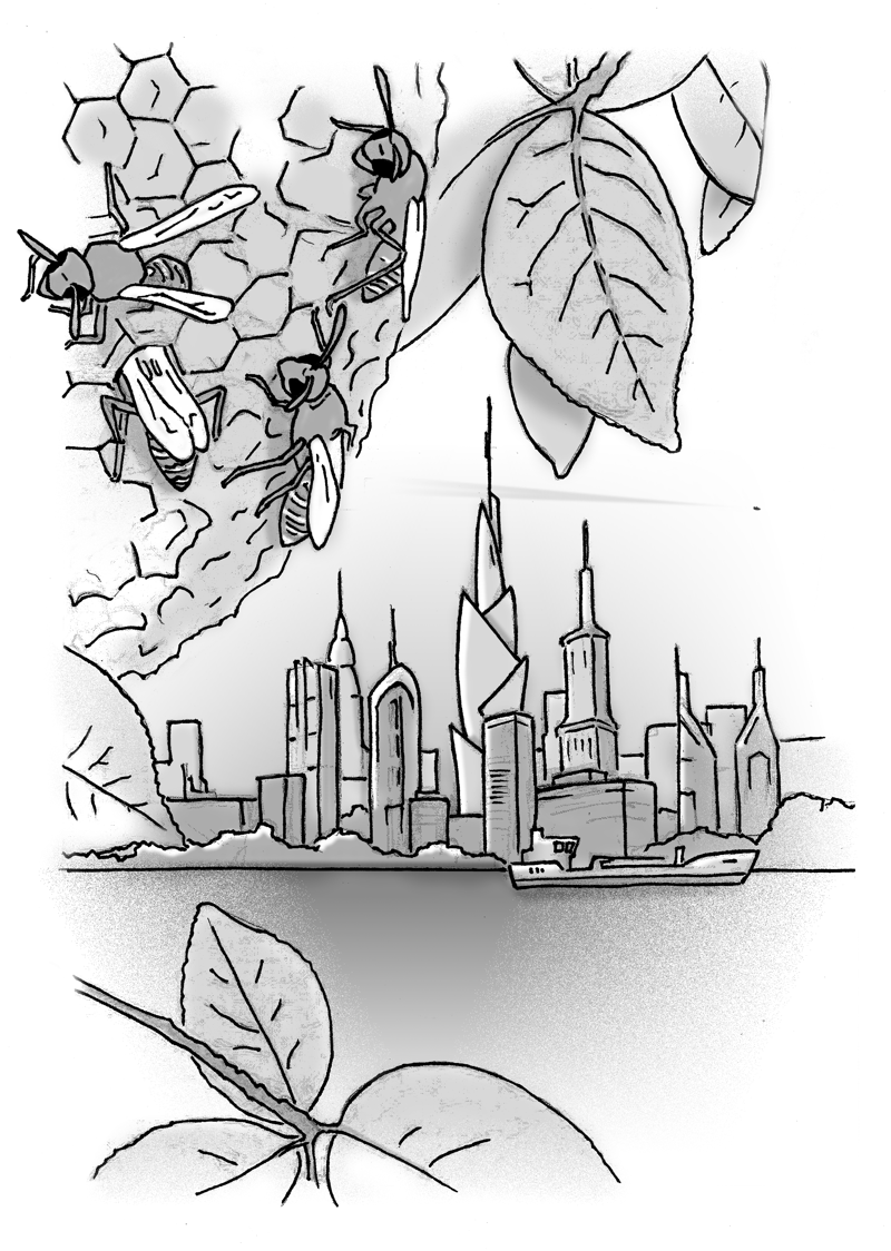 Line drawing of bees on a honeycomb, leaves, and a city skyline of skyscrapers.